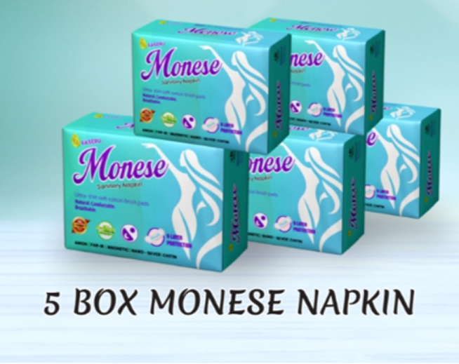 5 box Monese sanitary napkin pack